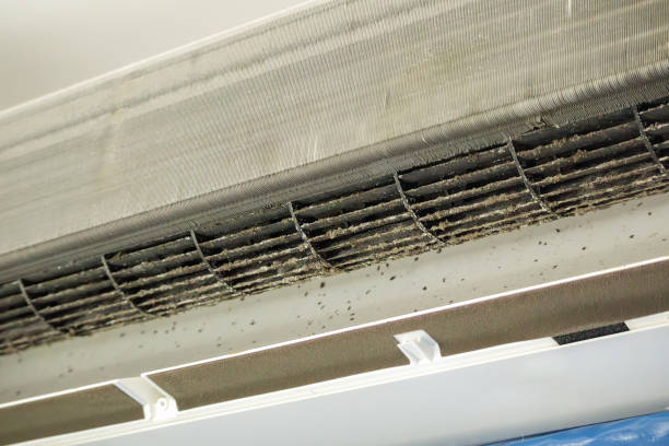 Best HVAC Maintenance and Cleaning  in Belle Fourche, SD